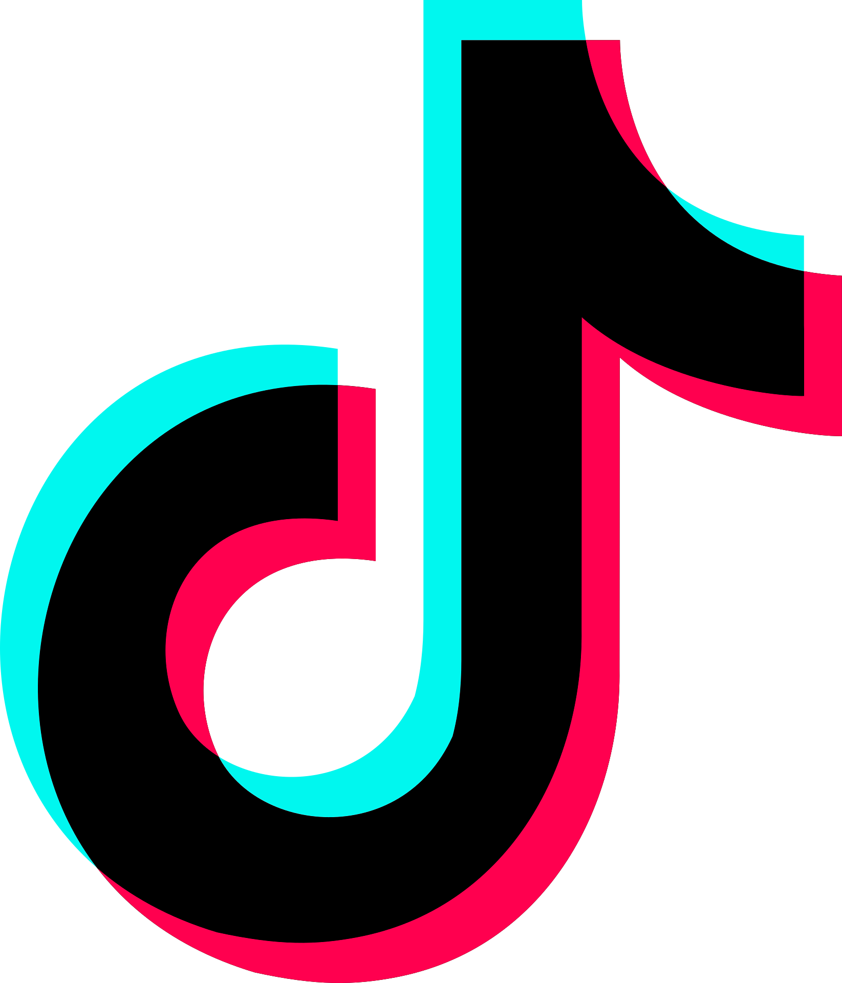 tiktok icon